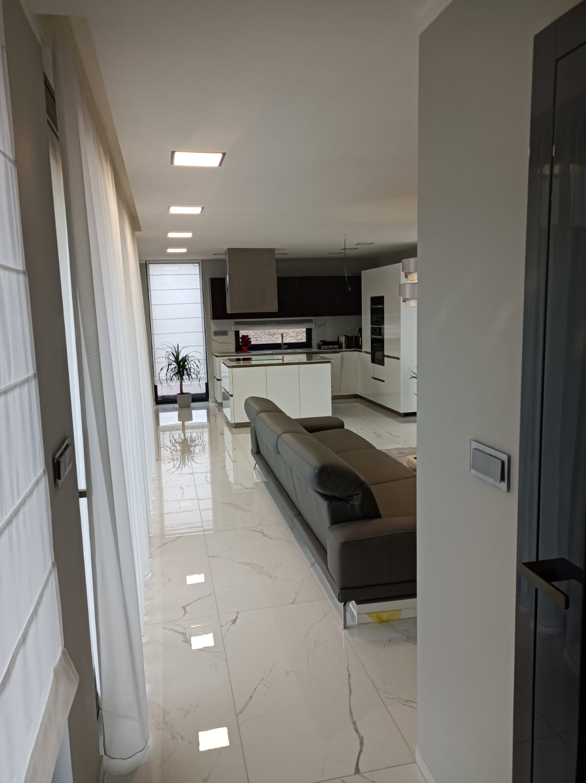 7956182173501446683 (1)