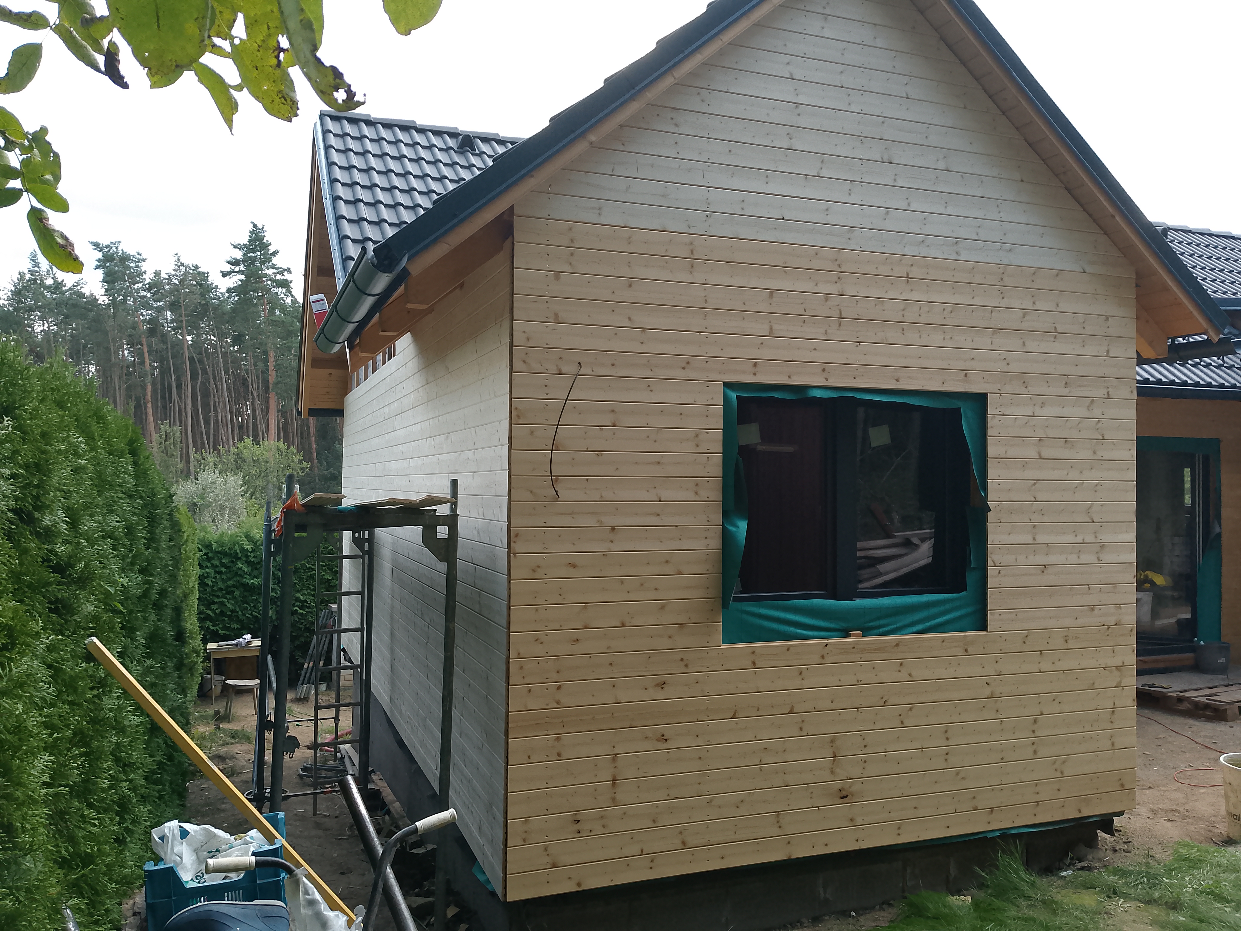 IMG_20240816_154535_149